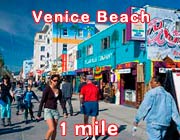 Venice Beach